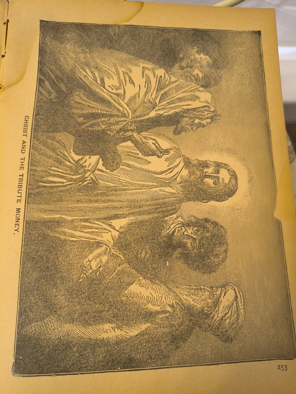 Rear Collectable Book - Picture 14 of 14